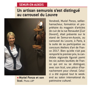 carrousel-louvre-cuirdavant_muriel_rochetti_5
