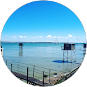 Lou P. profile picture